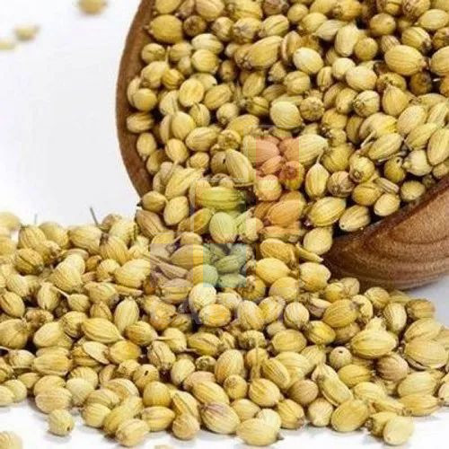 CORIANDER SEEDS (INDIA) 1*15KG